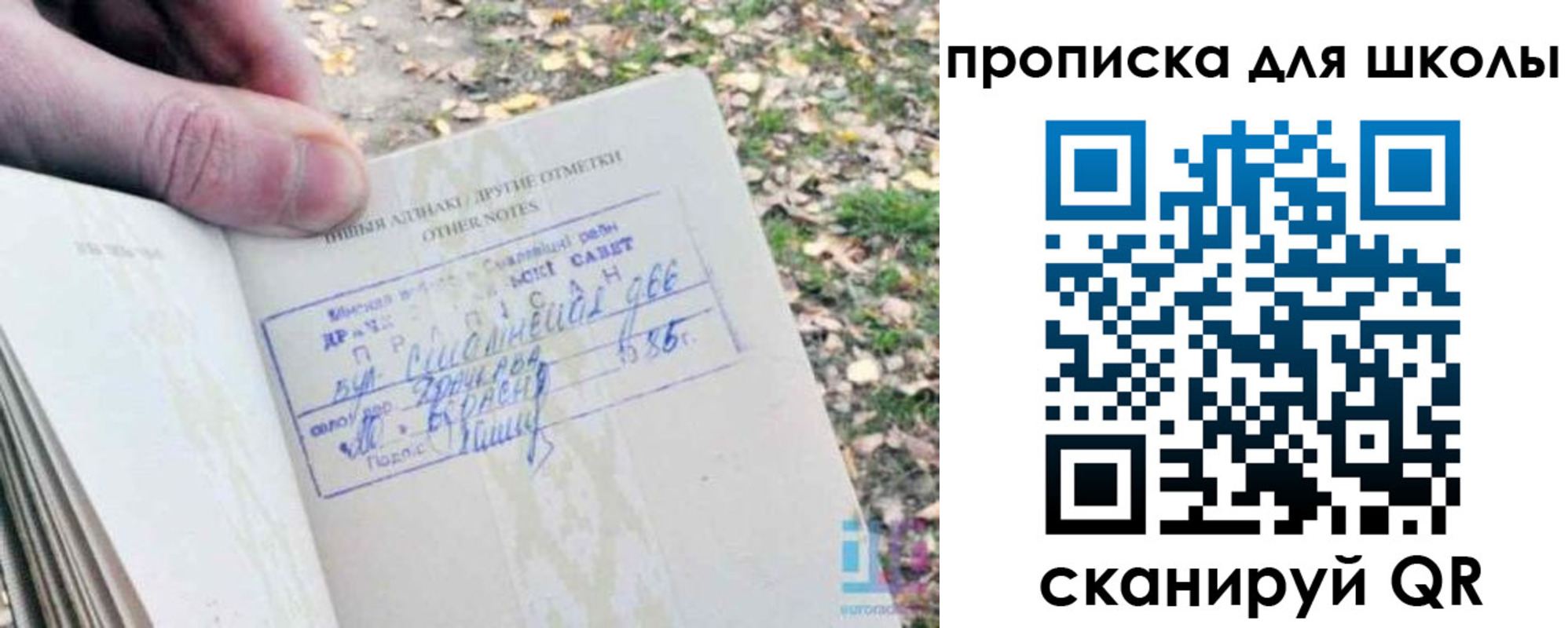 временная регистрация надежно в Долгопрудном